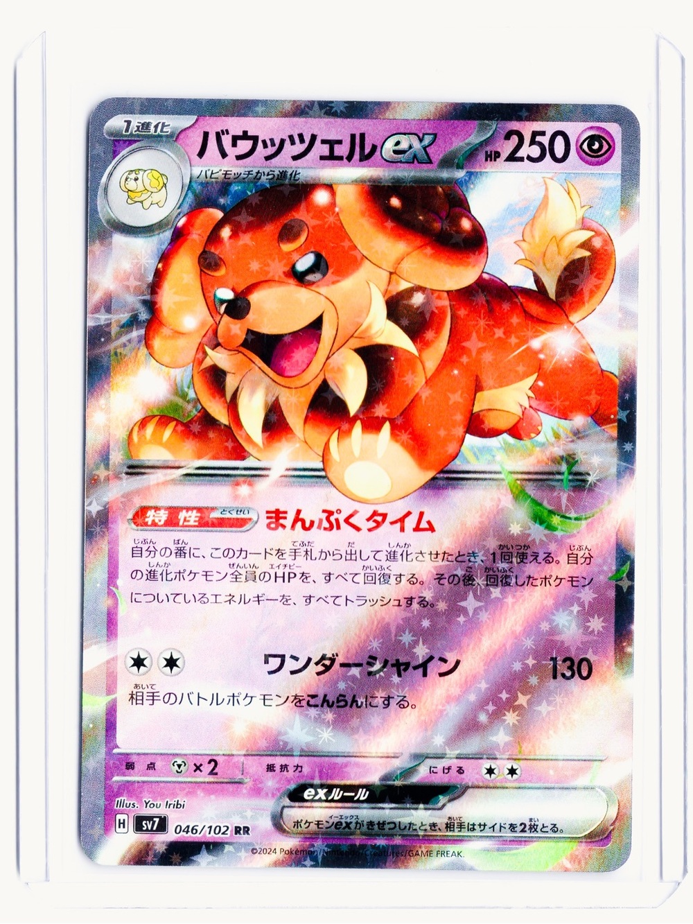 Dachsbun (JP) EX 046/102 Stellar Miracle NM Pokemon Trading Card